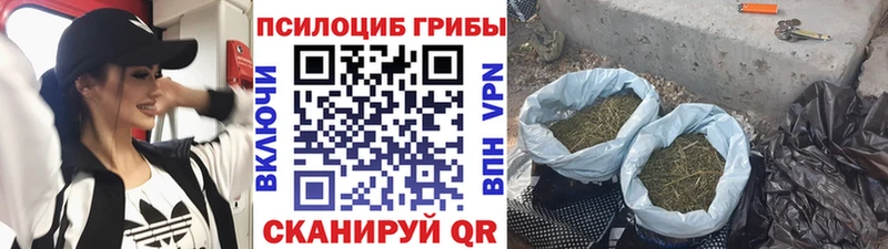 Галлюциногенные грибы GOLDEN TEACHER  Краснотурьинск 